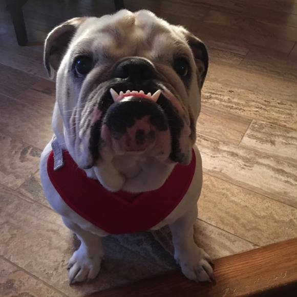 Meet your Posher, Amanda - Picture 1 of 1